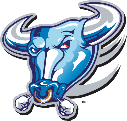 Buffalo Bulls 1997-2006 Alternate Logo diy iron on heat transfer